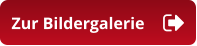 Zur Bildergalerie